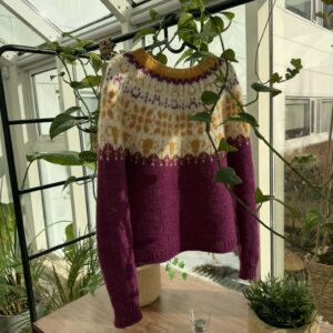 SAMGRÓNINGAR (uppskrift) – Endó peysan 2026